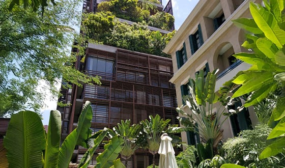 Rectangle